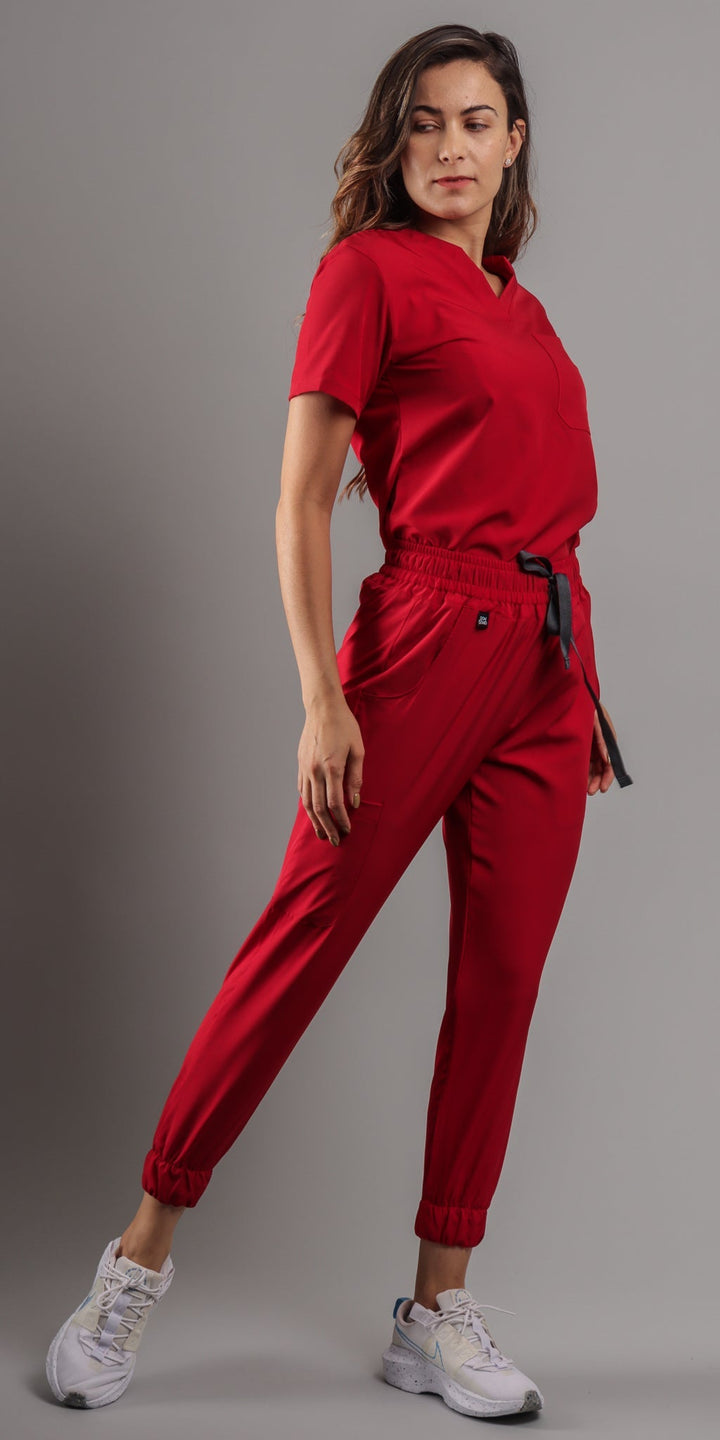 Red Dachshund ENTREGA INMEDIATA