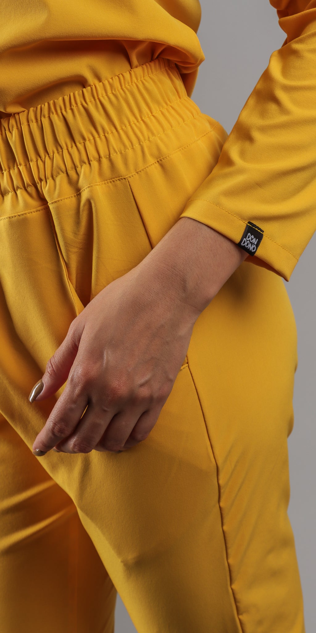 Honey Chihuahua Water Resistant