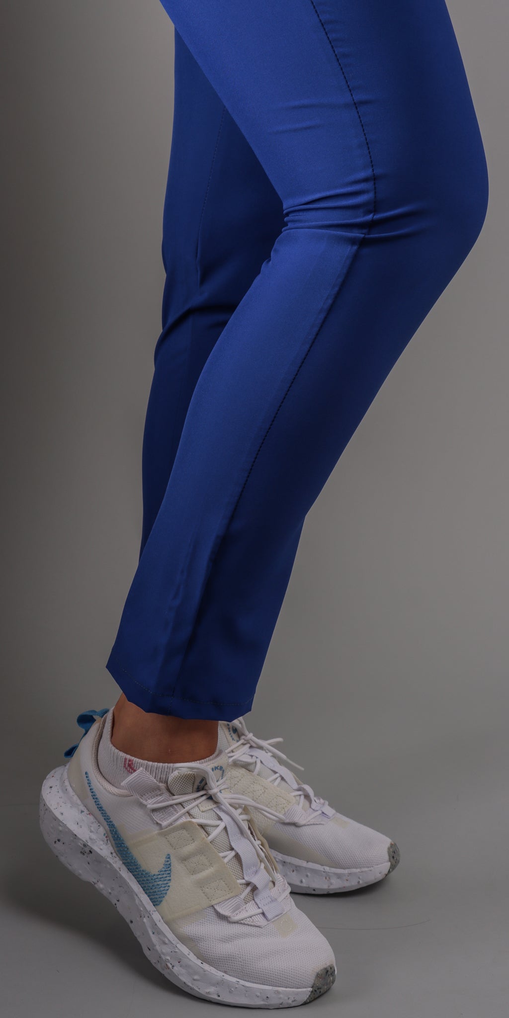 Royal Blue Corgi ENTREGA INMEDIATA